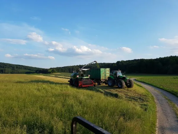 Hackschnitzel Eichenseer — Impressionen