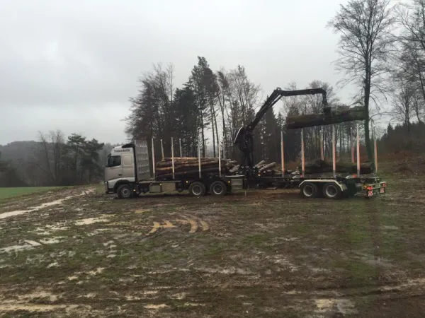 Hackschnitzel Eichenseer — Impressionen