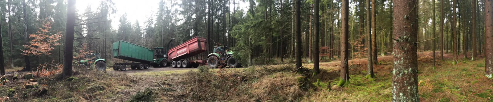 Biomasse & Energieholzgewinnung