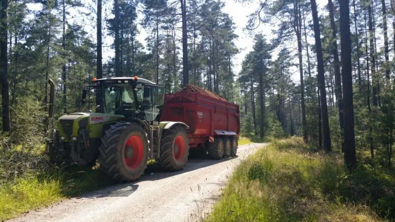 Energieholzaufbereitung